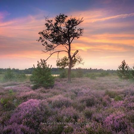 Natuurhuisje Oisterwijk Vila Exterior foto