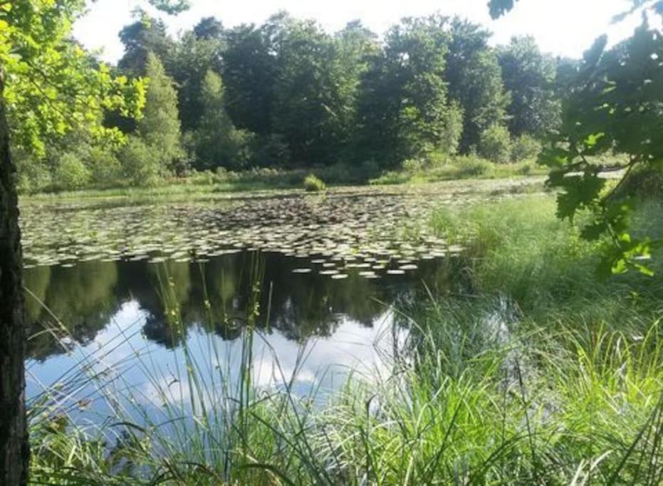 Natuurhuisje Oisterwijk Vila Exterior foto