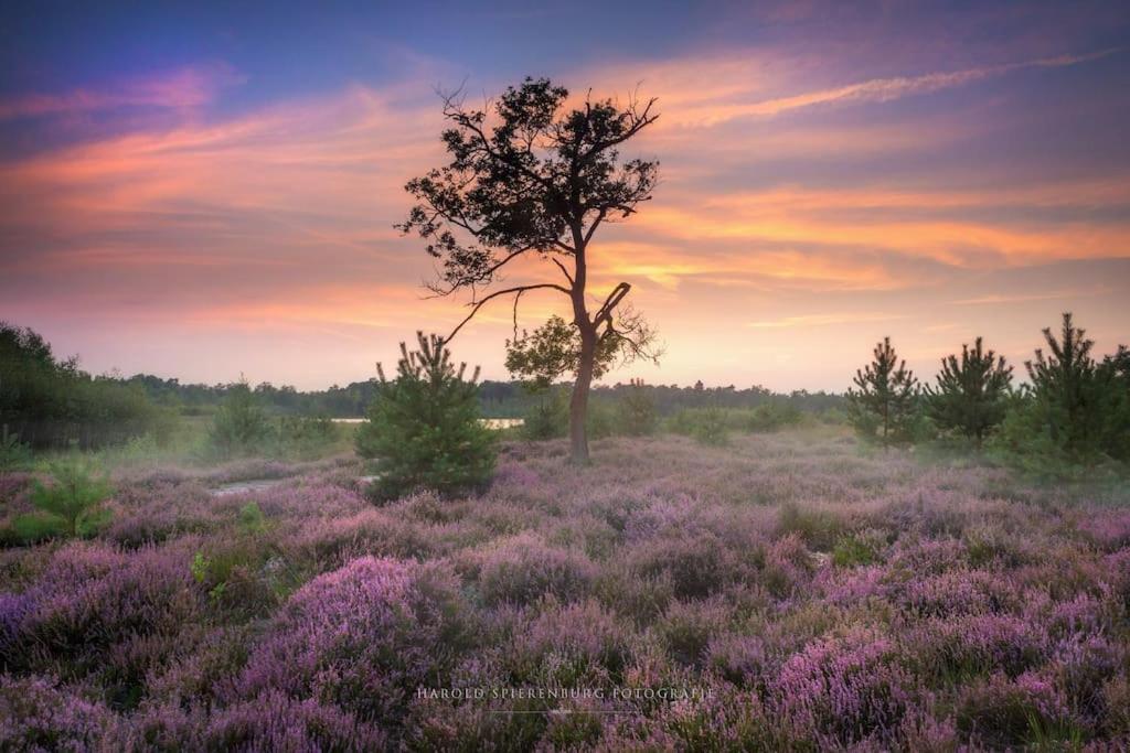 Natuurhuisje Oisterwijk Vila Exterior foto