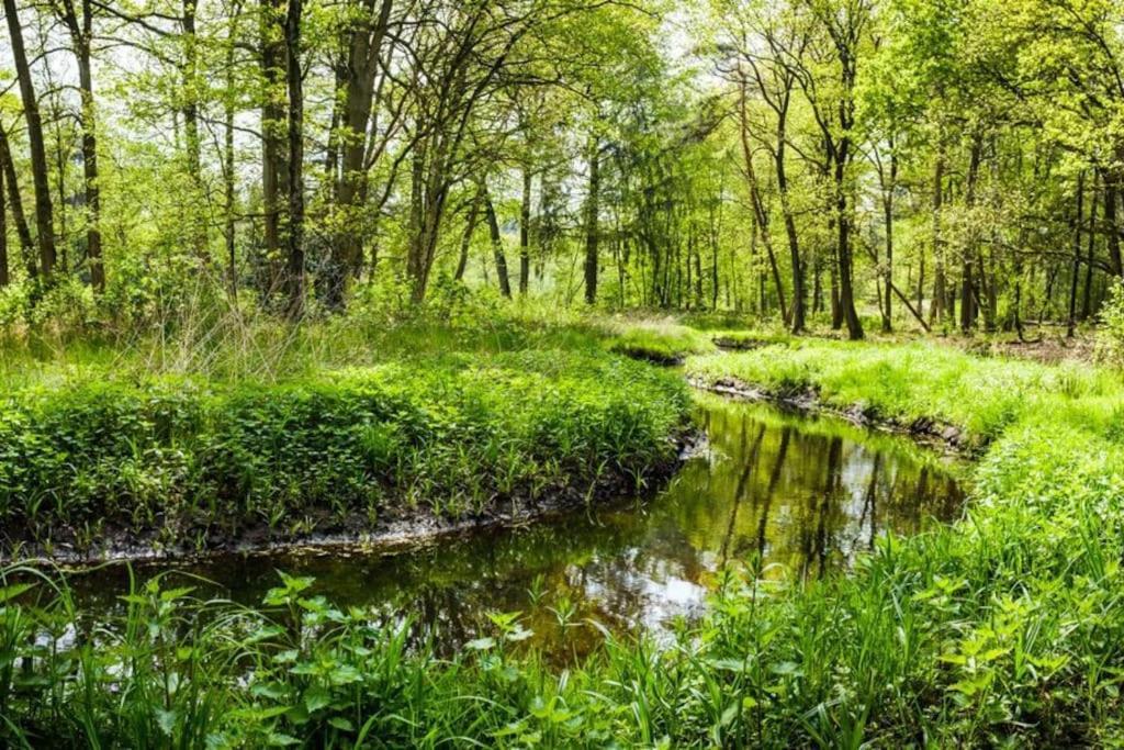 Natuurhuisje Oisterwijk Vila Exterior foto