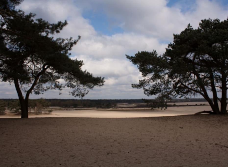 Natuurhuisje Oisterwijk Vila Exterior foto